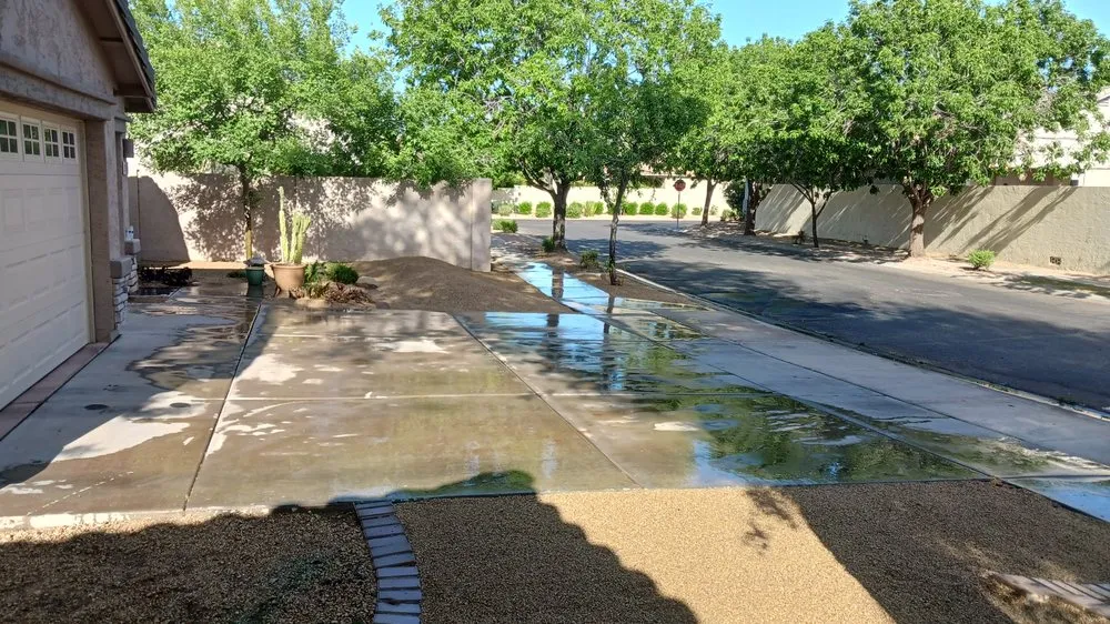 Custom landscaping services for year-round maintenance across Phoenix, AZ - Reza Landscaping