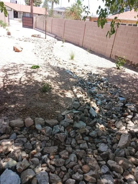 Top-rated residential landscaping in Phoenix, AZ - Reza Landscaping