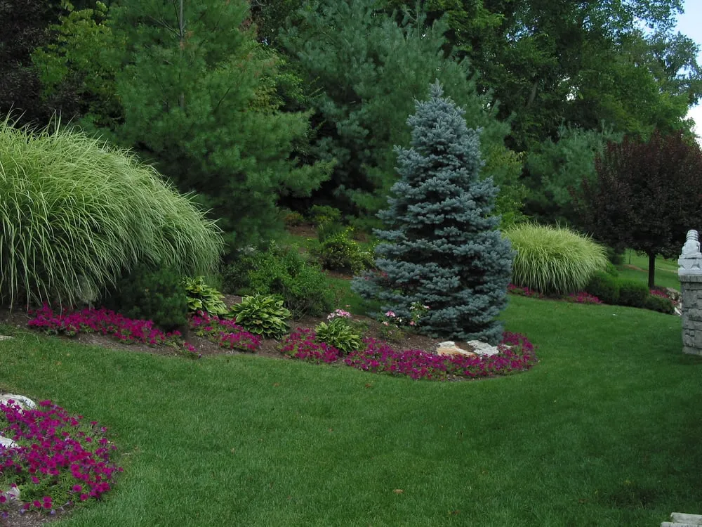 Custom yard cleanup service in Saint Louis, MO - RF Landscape Services