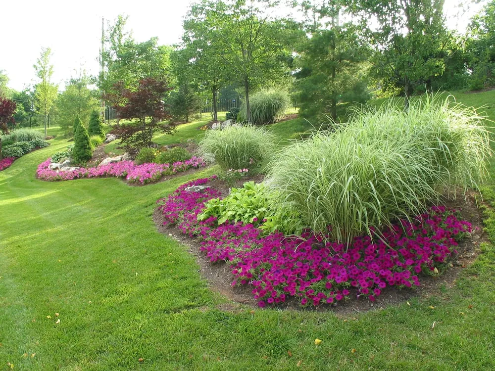 Top-rated yard cleanup service for outdoor upgrades in Saint Louis, MO by RF Landscape Services
