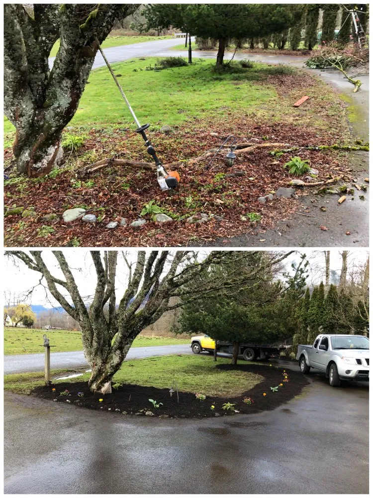 Local landscape installation experts serving Monroe, WA - R&F Landscaping