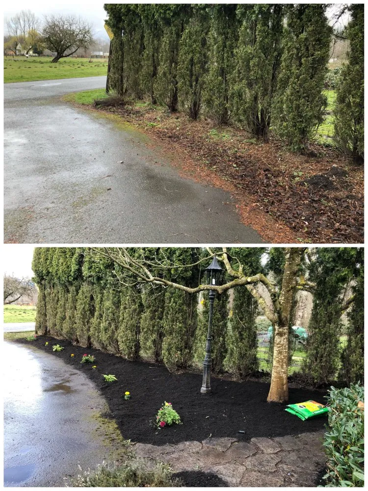 Professional yard cleanup service for year-round maintenance across Monroe, WA - R&F Landscaping