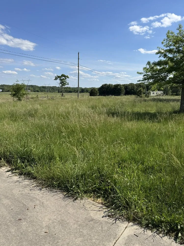 Local yard cleanup service for year-round maintenance in Crossville, AL by RF Lawn Care