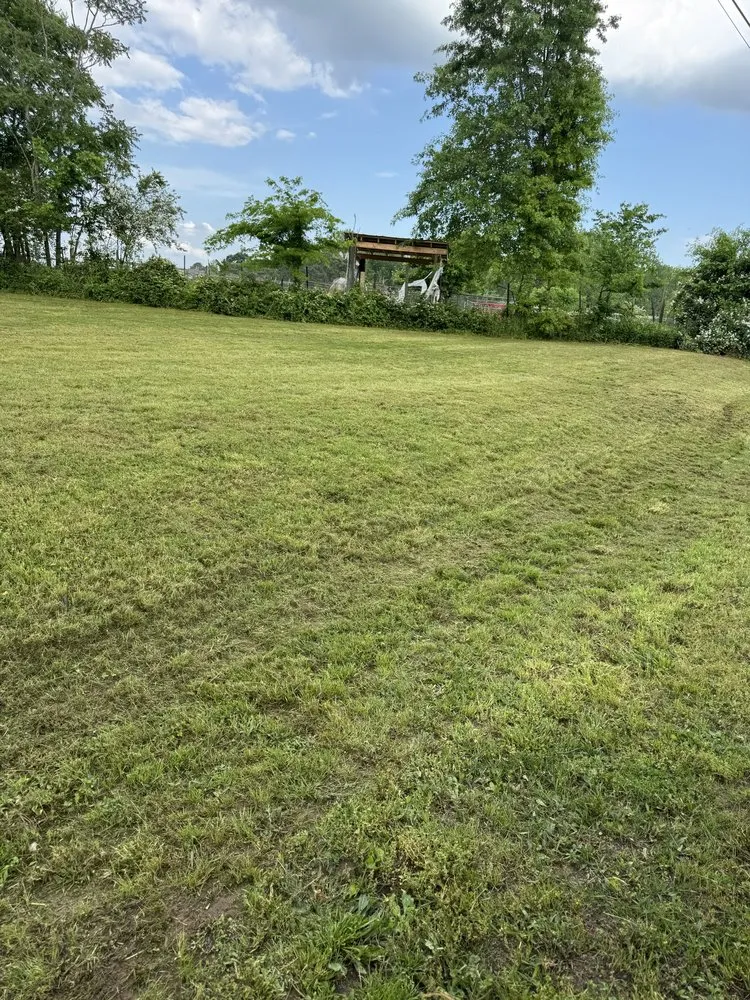 Top-rated landscape design in Crossville, AL - RF Lawn Care