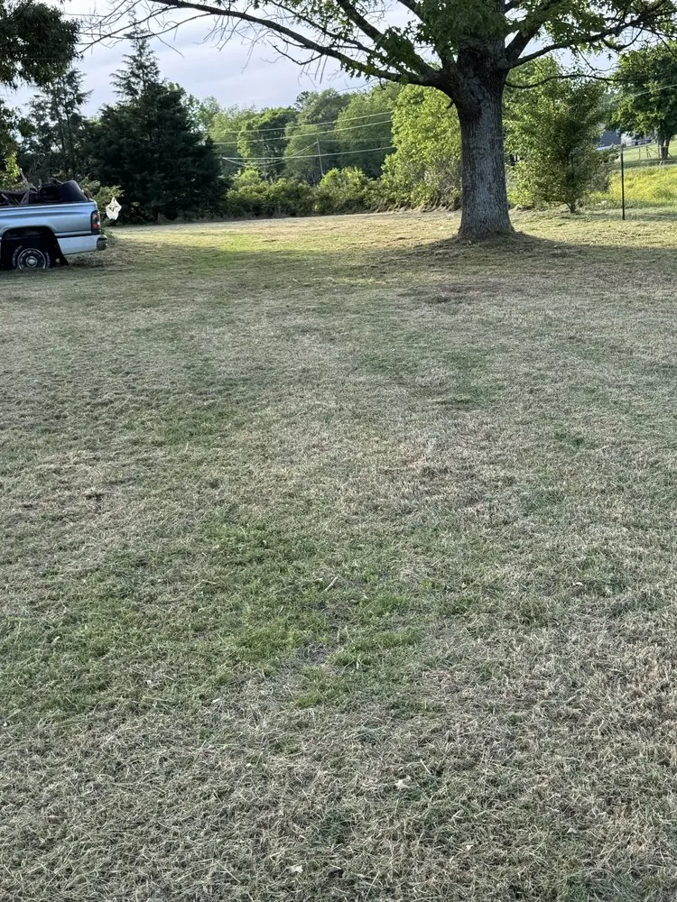 Top-rated yard cleanup service experts serving Crossville, AL - RF Lawn Care
