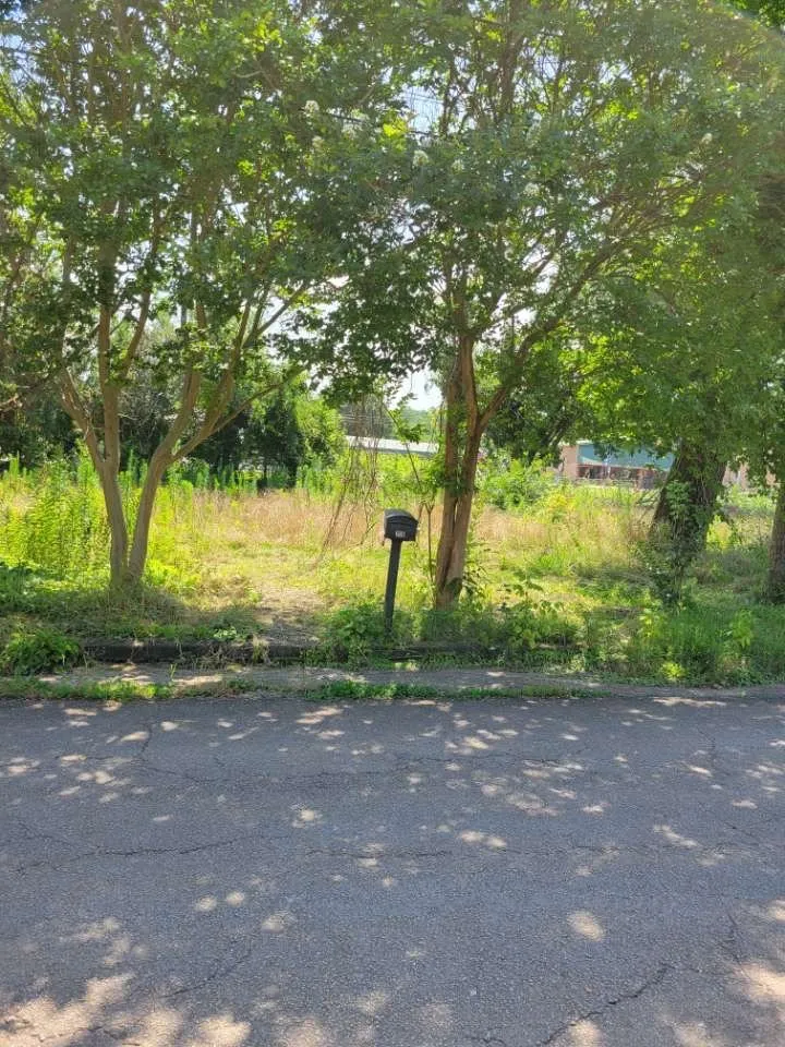 Expert lawn mowing service experts serving Crossville, AL - RF Lawn Care