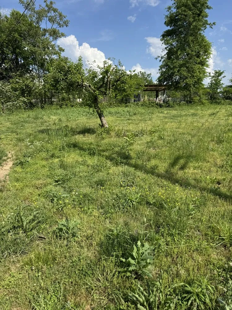 Local lawn mowing service for outdoor upgrades in Crossville, AL by RF Lawn Care