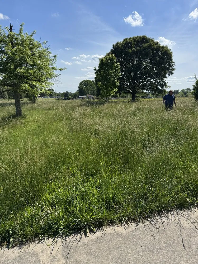 Affordable landscaping services with custom design across Crossville, AL - RF Lawn Care