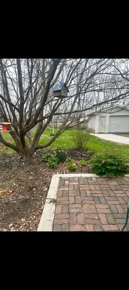 Expert lawn mowing service in Des Moines, IA - RF Outdoor Services