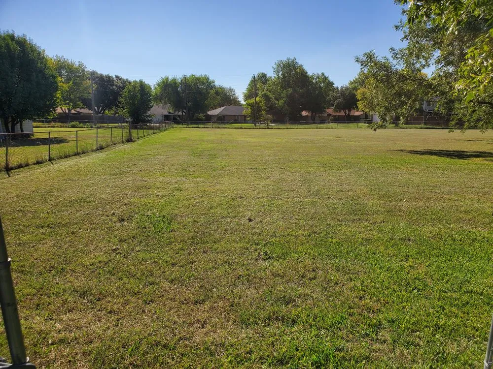 Professional lawn care service in McKinney, TX - RF Services