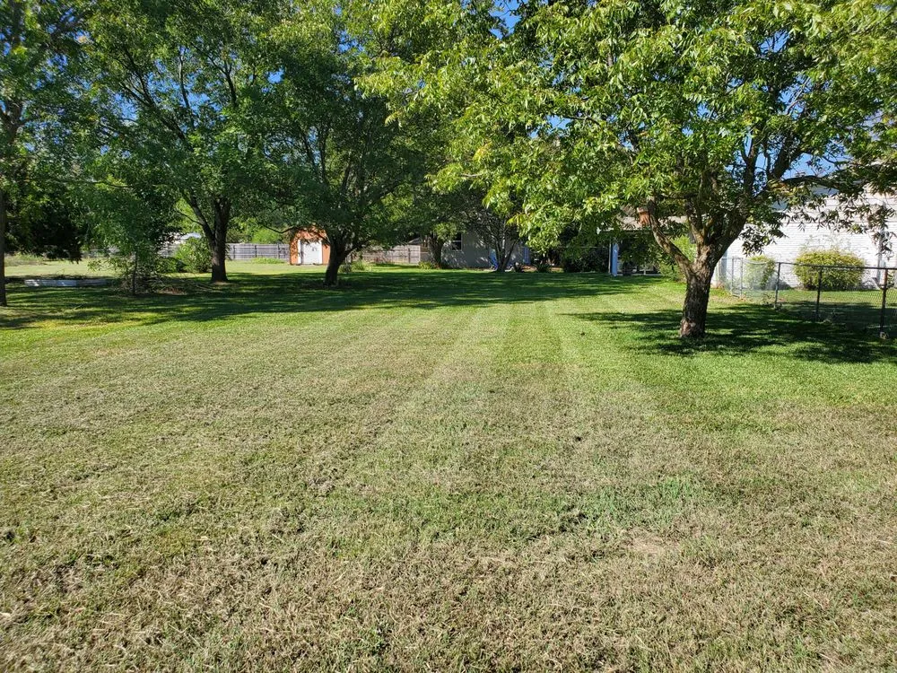 Professional outdoor landscaping experts serving McKinney, TX - RF Services