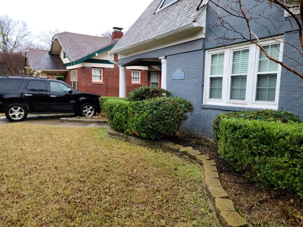 Professional yard cleanup service experts serving McKinney, TX - RF Services