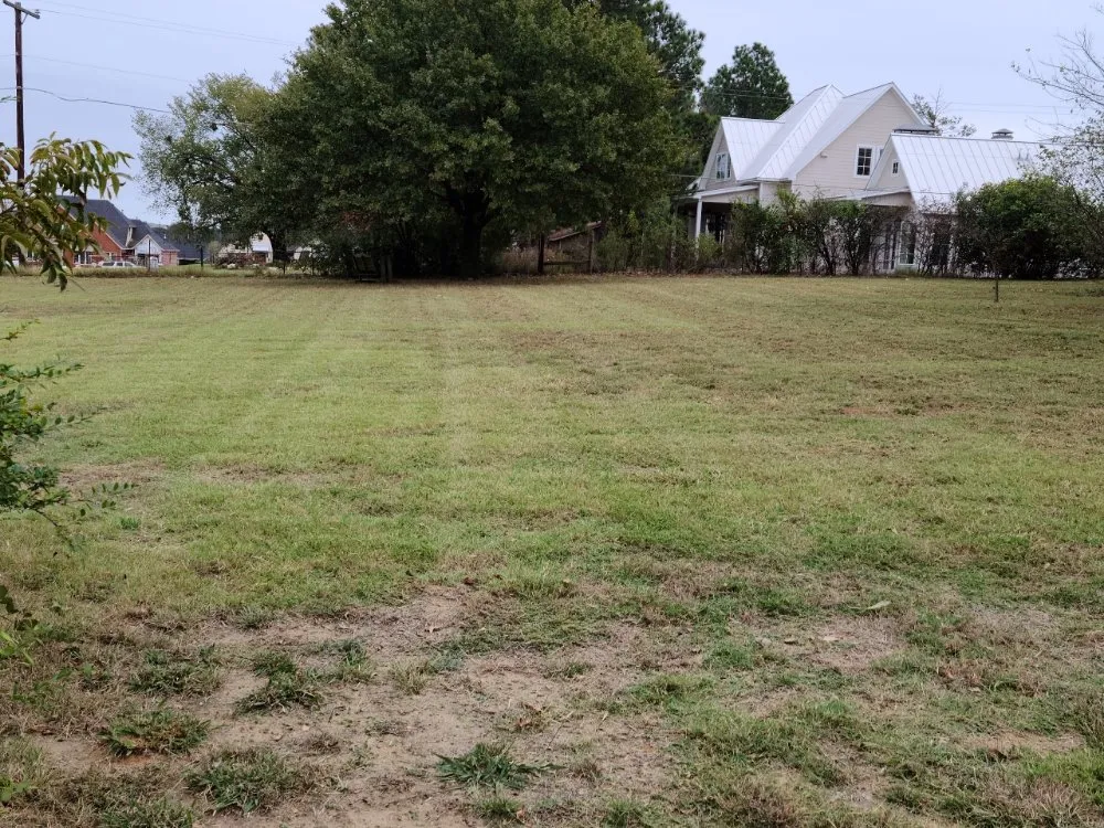 Local residential landscaping for beautiful yards across McKinney, TX - RF Services