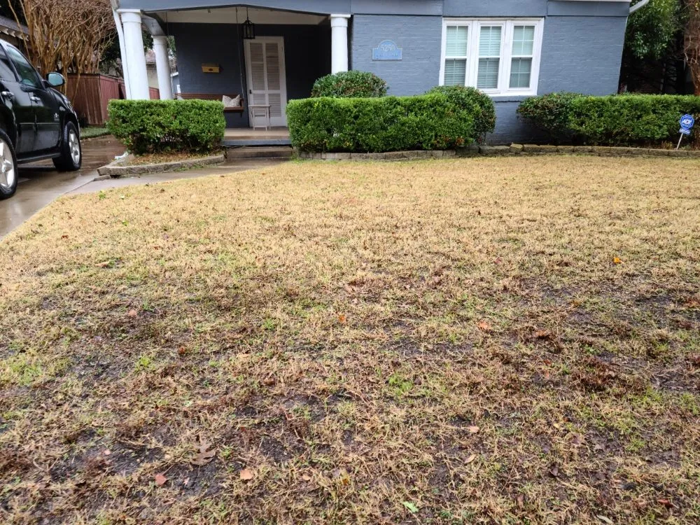 Expert outdoor landscaping in McKinney, TX by RF Services