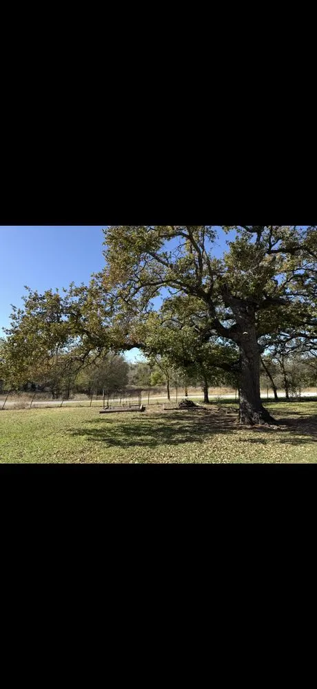 Affordable landscaping services for year-round maintenance across Poolville, TX - R&F Services
