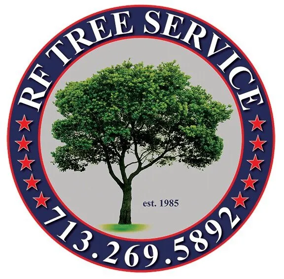 Top-rated lawn mowing service for year-round maintenance across Houston, TX - RF Tree Service