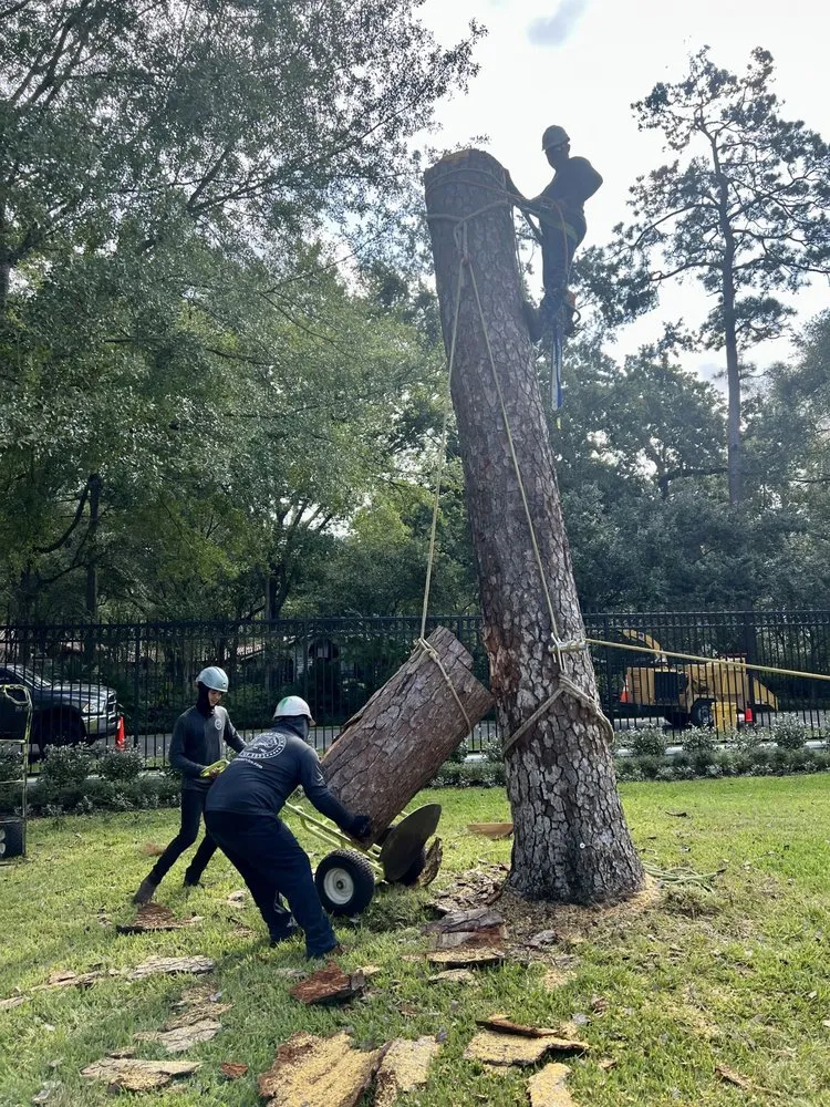 Trusted garden landscaping in Houston, TX - RF Tree Service