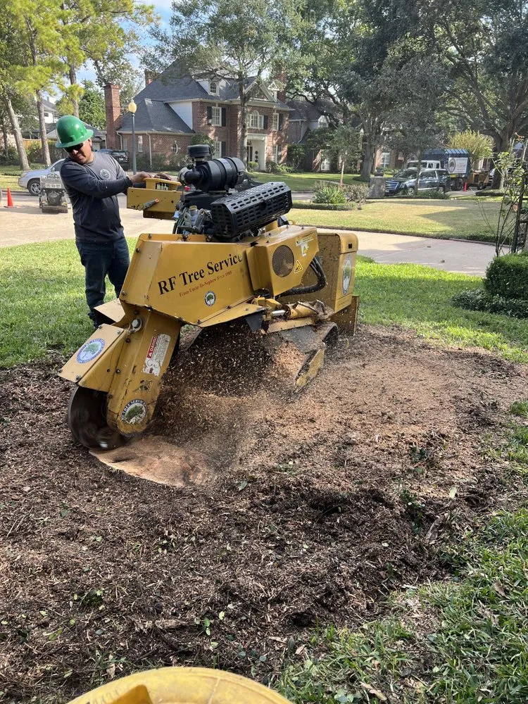 Top-rated residential landscaping with custom design in Houston, TX by RF Tree Service