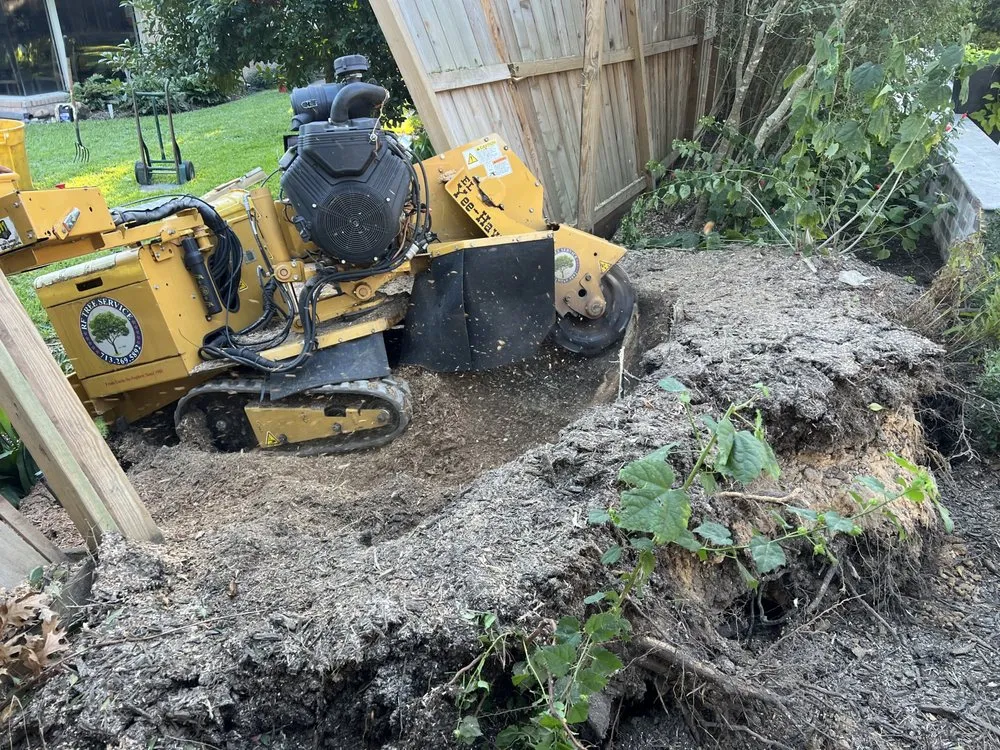 Professional outdoor landscaping in Houston, TX by RF Tree Service