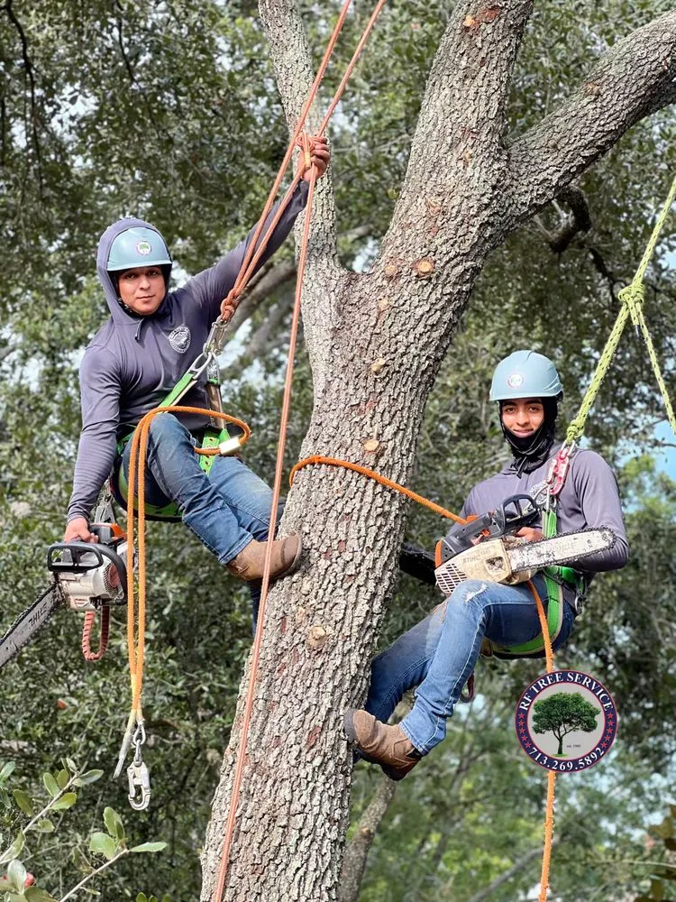 Custom residential landscaping in Houston, TX by RF Tree Service