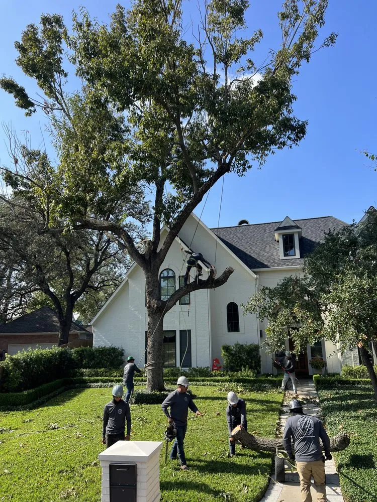 Top-rated residential landscaping for year-round maintenance across Houston, TX - RF Tree Service
