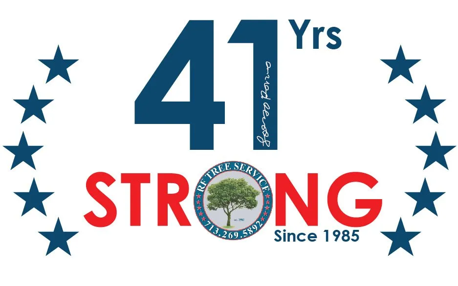 Expert lawn care service in Houston, TX by RF Tree Service