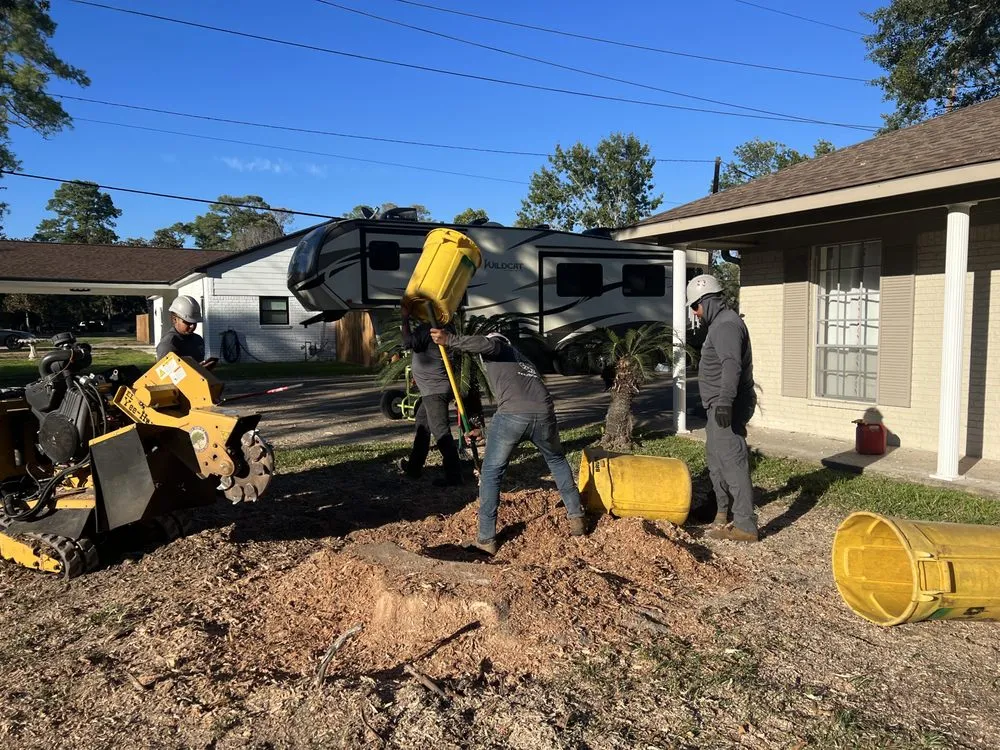 Professional outdoor landscaping for residential properties in Houston, TX by RF Tree Service