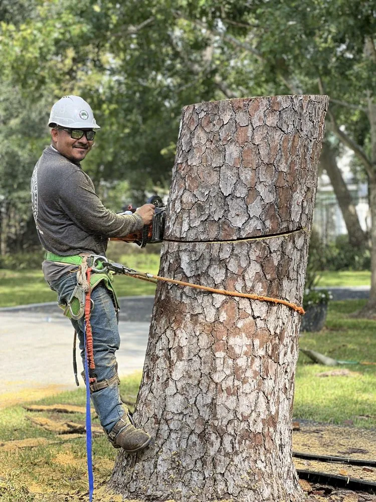 Custom lawn mowing service in Houston, TX - RF Tree Service