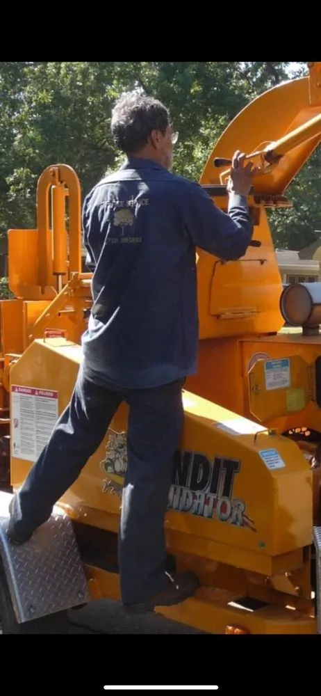 Reliable landscape installation for beautiful yards in Houston, TX by RF Tree Service