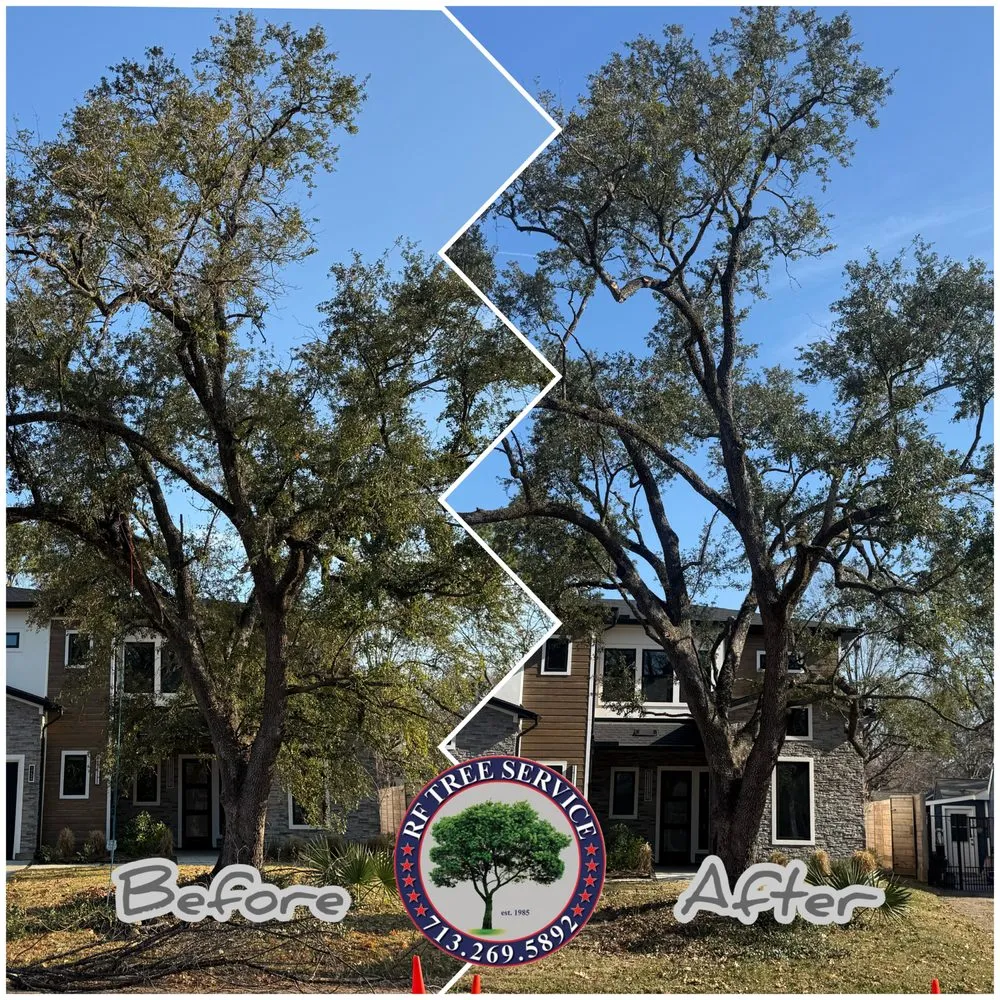 Local lawn mowing service in Houston, TX by RF Tree Service