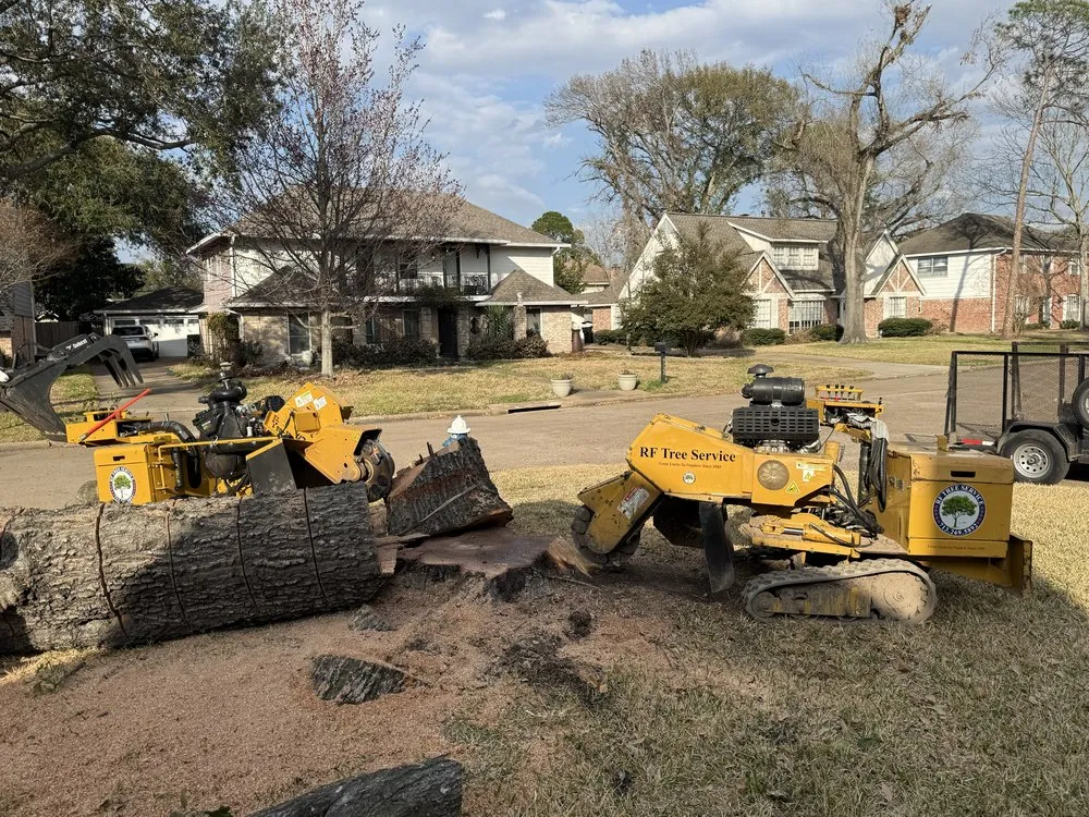 Professional landscape design for homes across Houston, TX - RF Tree Service