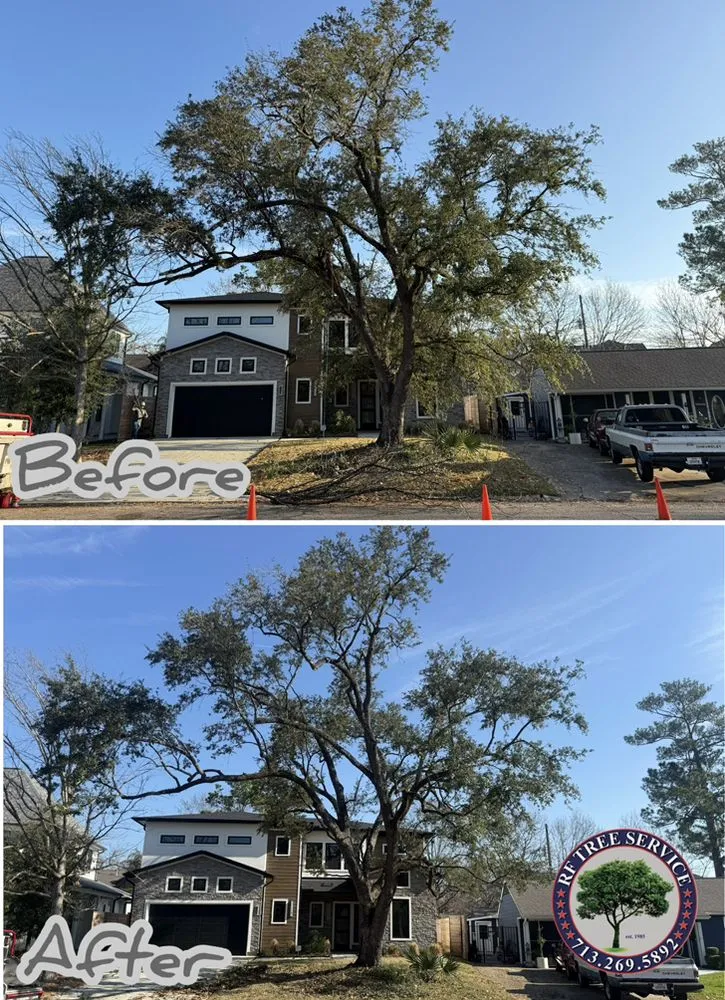 Professional landscaping services for year-round maintenance across Houston, TX - RF Tree Service