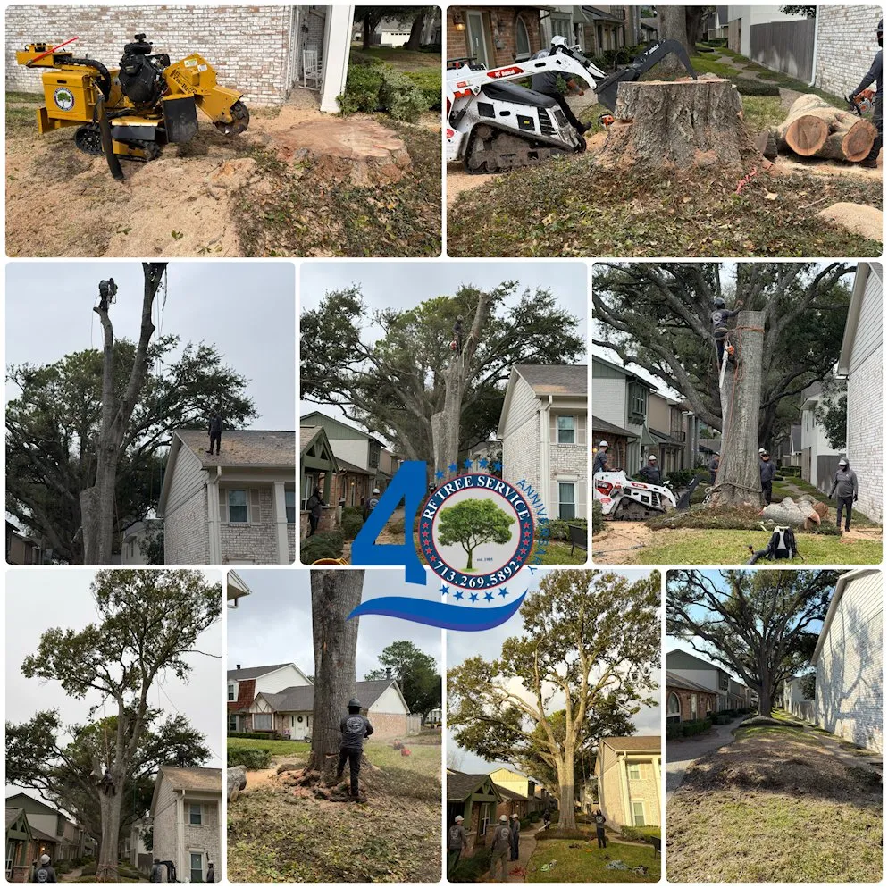 Local garden landscaping in Houston, TX by RF Tree Service