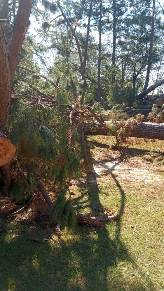 Professional yard cleanup service for outdoor upgrades across Augusta, GA - RFL Contract Services