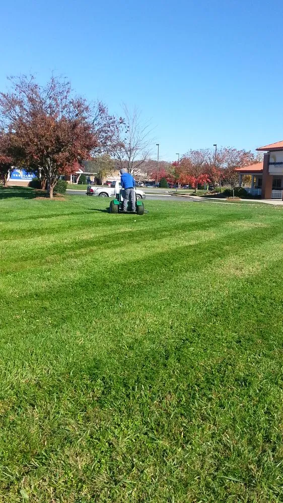 Expert lawn mowing service with custom design in Burlington, NC by RFLO Lawn Care Services