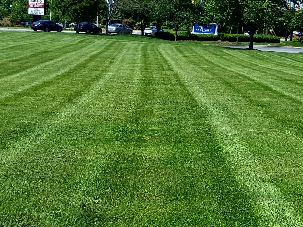 Local garden landscaping for year-round maintenance across Burlington, NC - RFLO Lawn Care Services