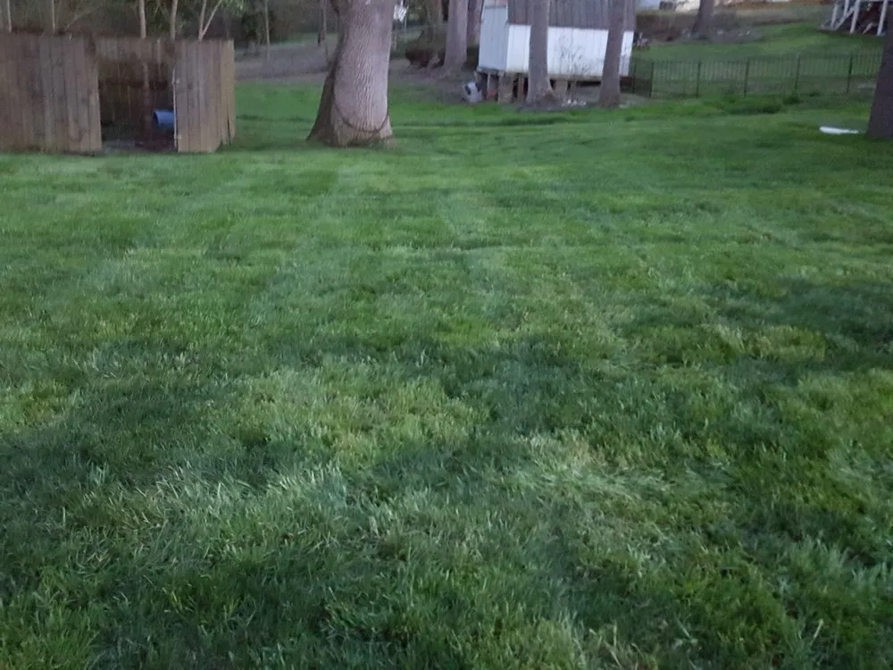 Custom yard maintenance in Burlington, NC - RFLO Lawn Care Services