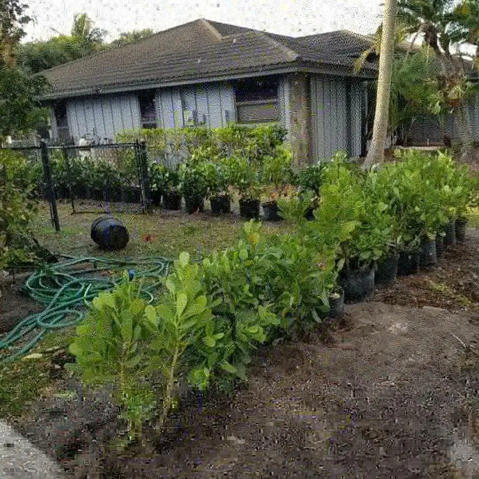 Custom landscape installation for outdoor upgrades across Miramar, FL - RFM Landscaping