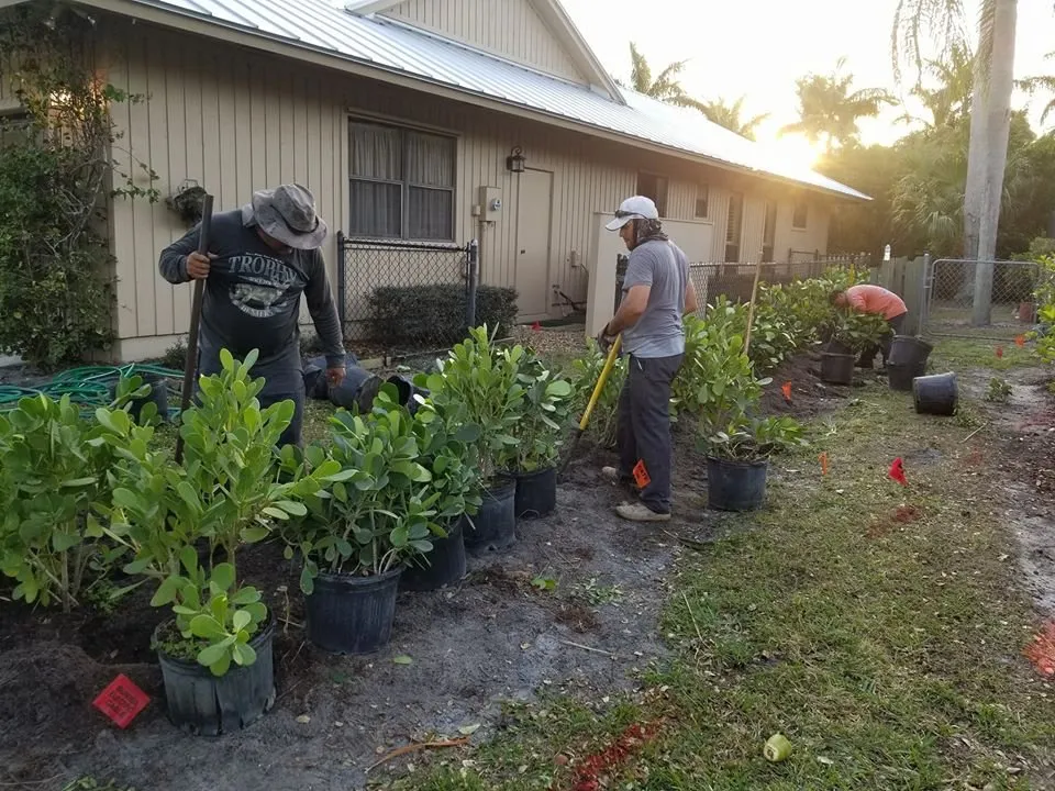 Professional landscaping services experts serving Miramar, FL - RFM Landscaping