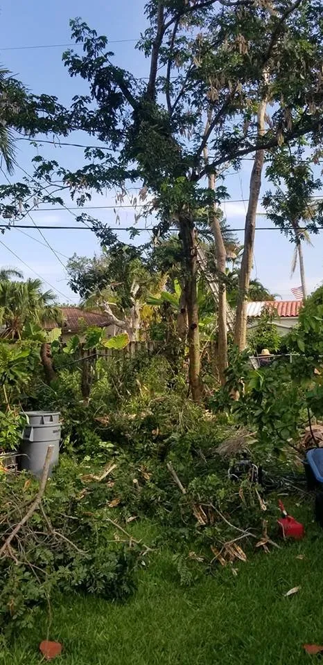 Custom residential landscaping near you across Miramar, FL - RFM Landscaping