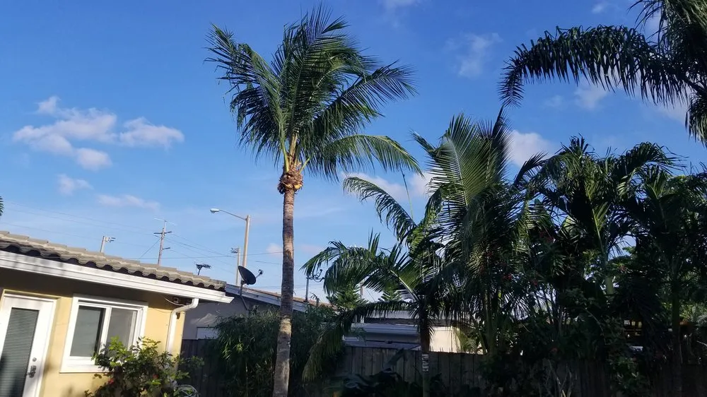 Local lawn mowing service in Miramar, FL - RFM Landscaping