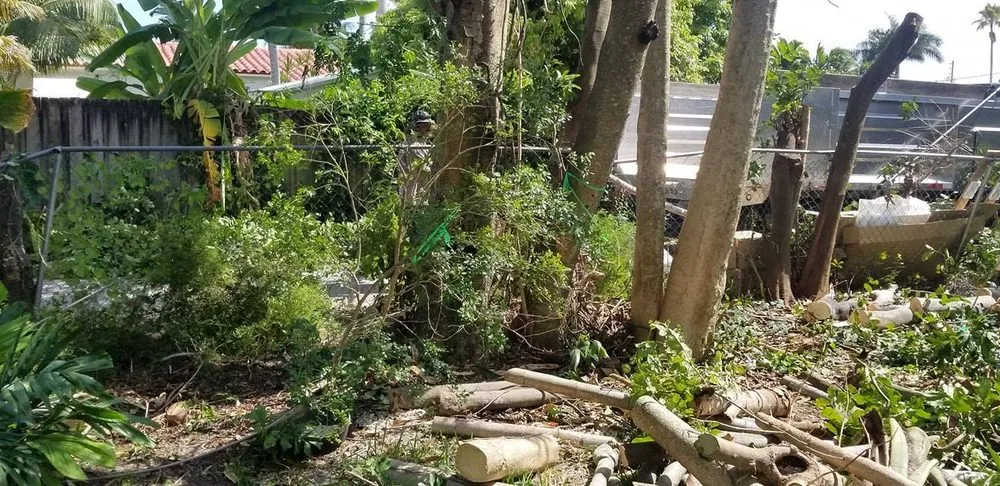 Professional landscape design for outdoor upgrades in Miramar, FL by RFM Landscaping