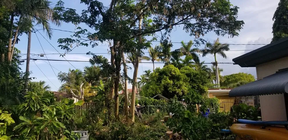 Trusted garden landscaping for residential properties in Miramar, FL by RFM Landscaping