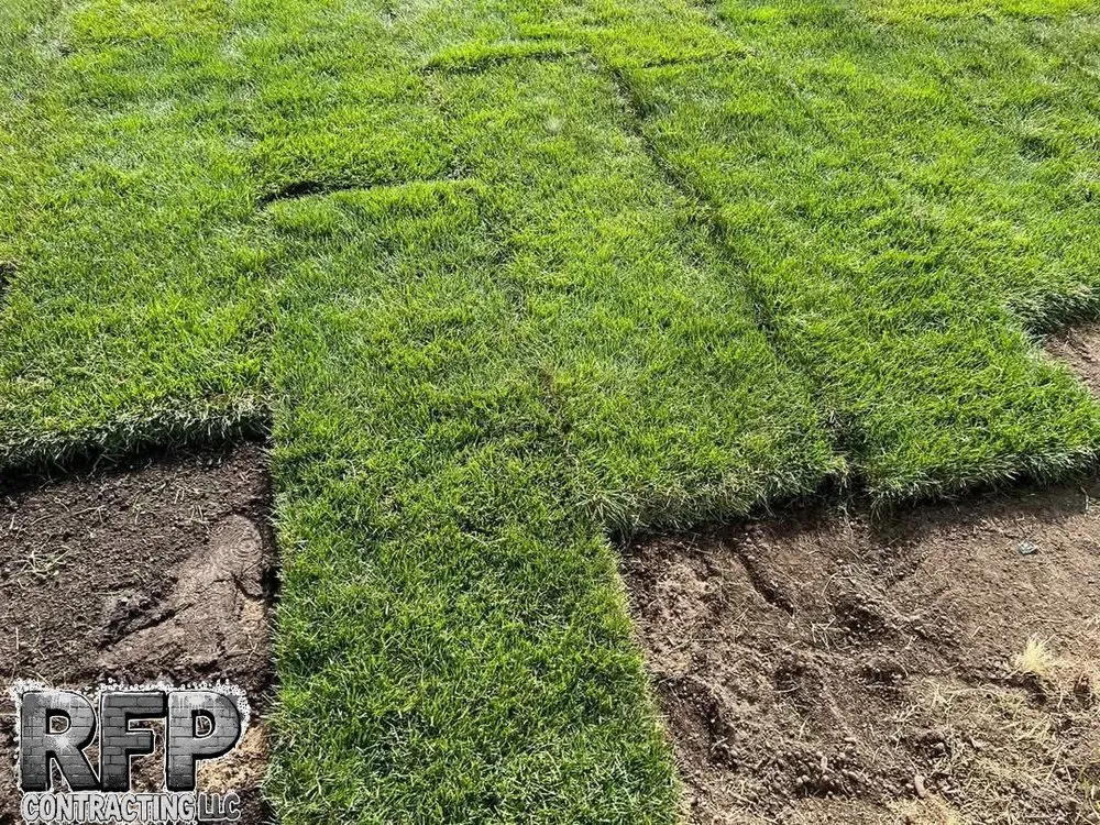 Expert lawn mowing service experts serving Brooklyn Center, MN - RFP Contracting