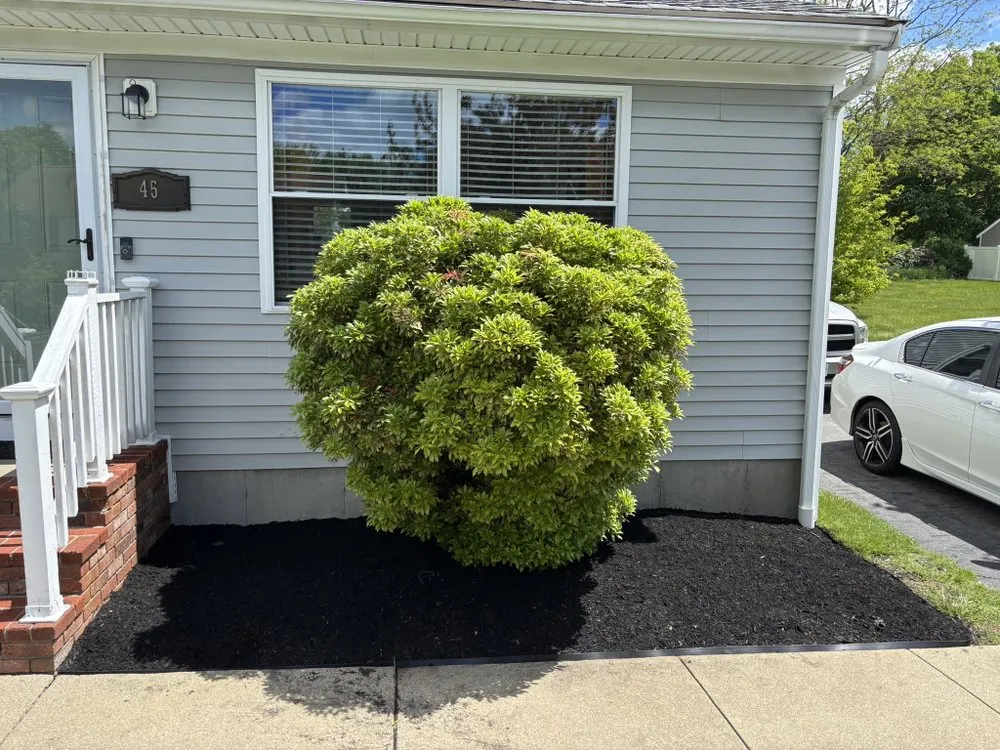 Affordable yard cleanup service in New Bedford, MA - Rfs Landscape and Hardscape