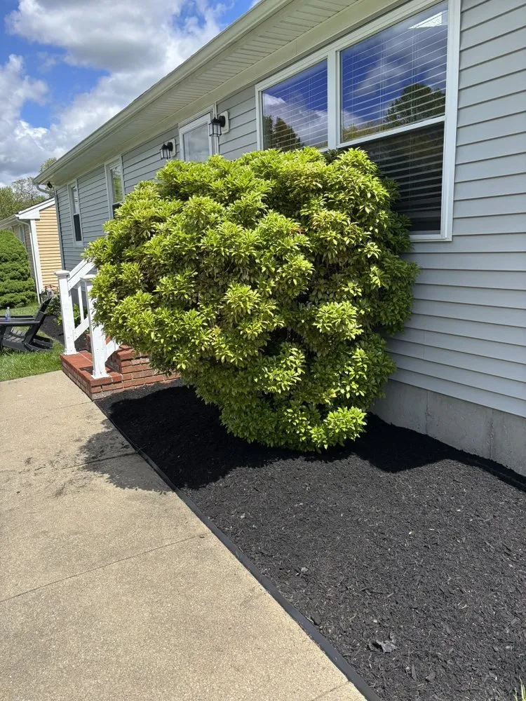 Reliable outdoor landscaping in New Bedford, MA by Rfs Landscape and Hardscape