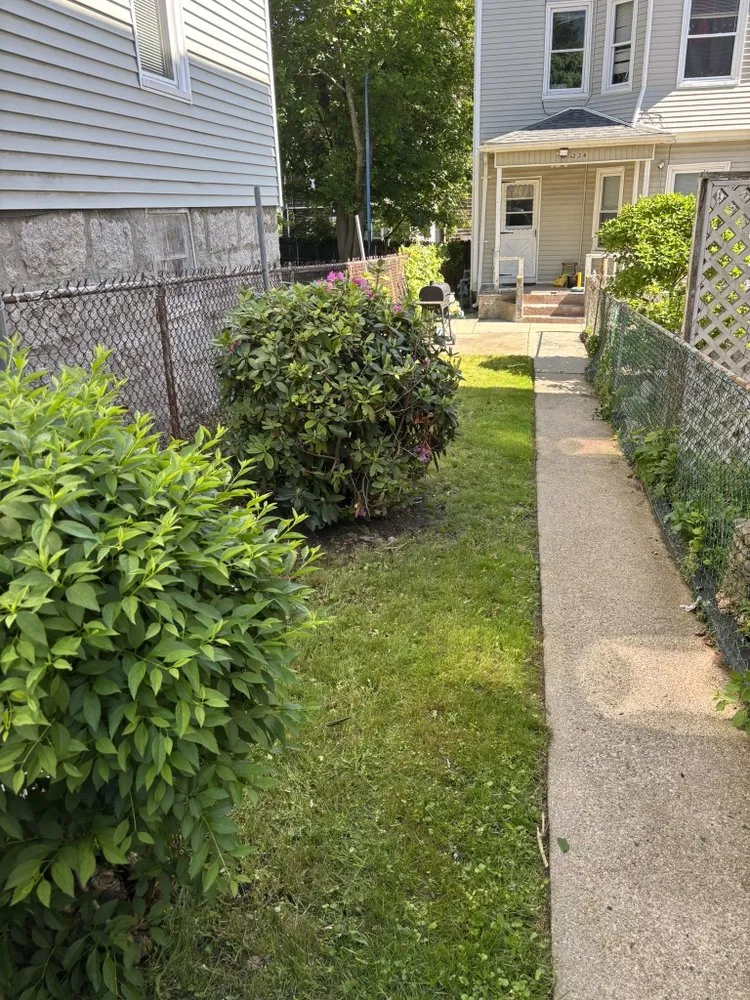 Trusted lawn care service for year-round maintenance in New Bedford, MA by Rfs Landscape and Hardscape