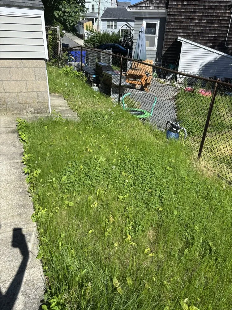 Trusted lawn care service in New Bedford, MA by Rfs Landscape and Hardscape