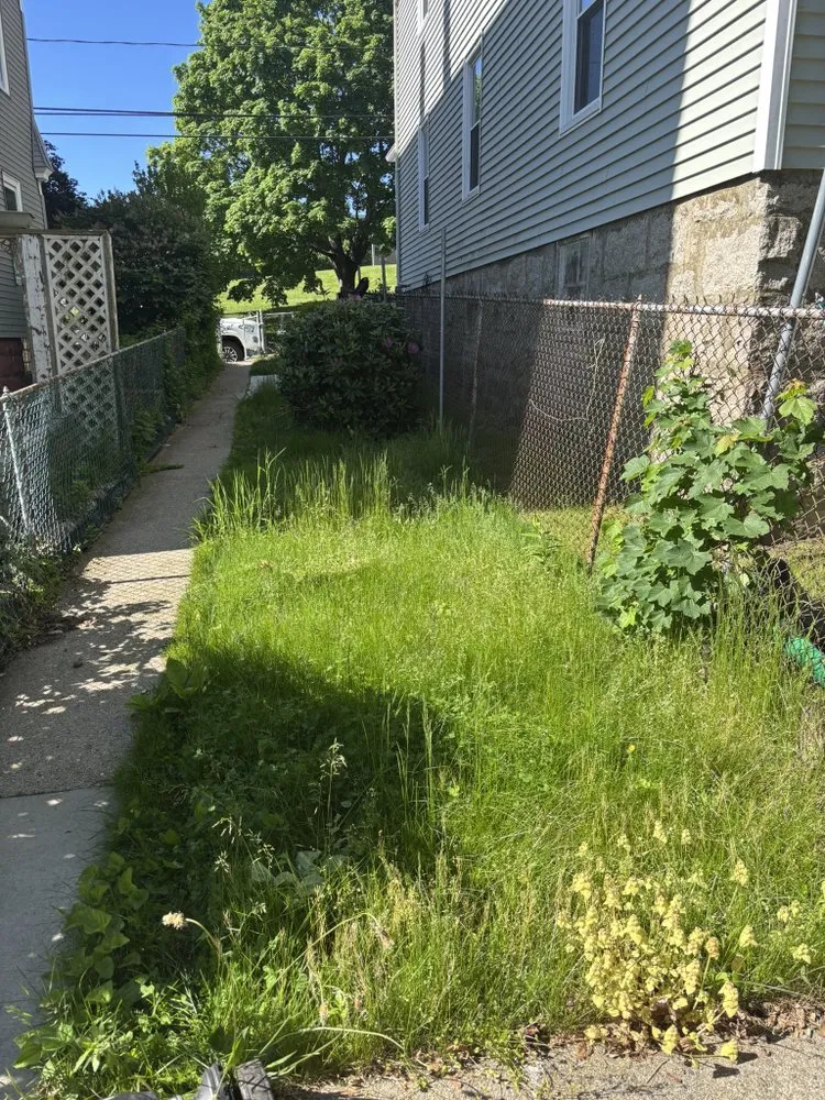 Professional outdoor landscaping for residential properties in New Bedford, MA by Rfs Landscape and Hardscape