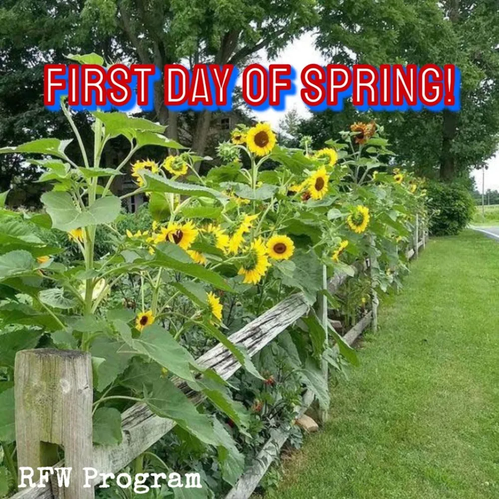 Custom garden landscaping near you in Pequannock Township, NJ by RFW Services